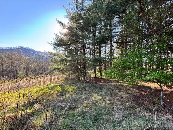 24 Dream Valley DR #24, Clyde, NC 28721
