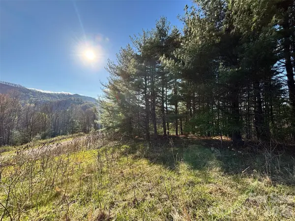 24 Dream Valley DR #24, Clyde, NC 28721