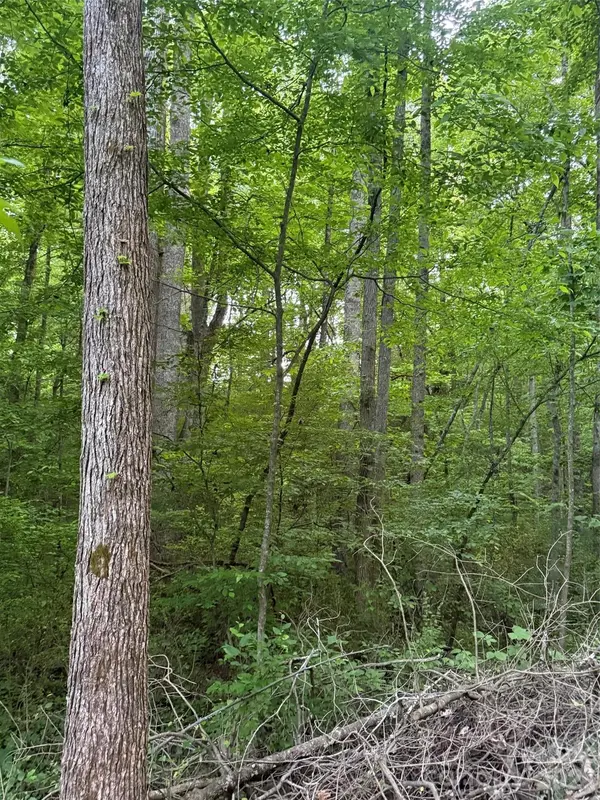 00 Winterhaven Road RD #4, Taylorsville, NC 28681