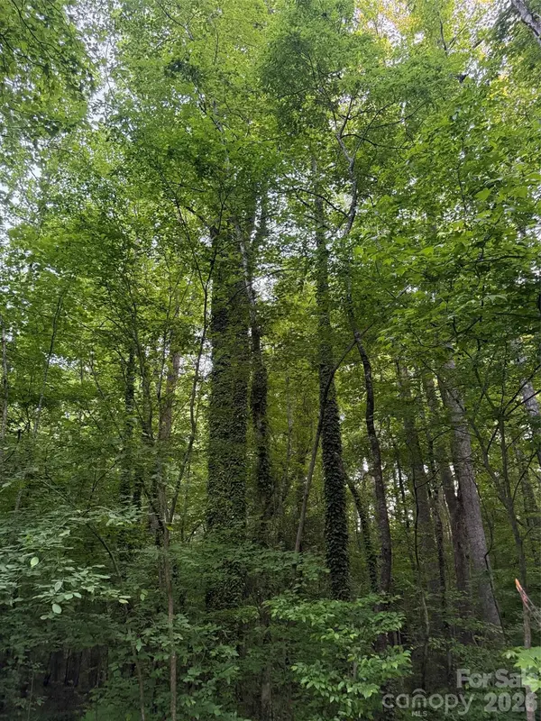 00 Winterhaven Road RD #4, Taylorsville, NC 28681
