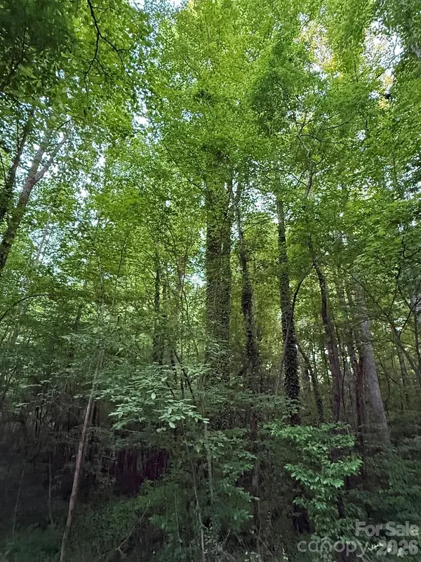 00 Winterhaven Road RD #4, Taylorsville, NC 28681
