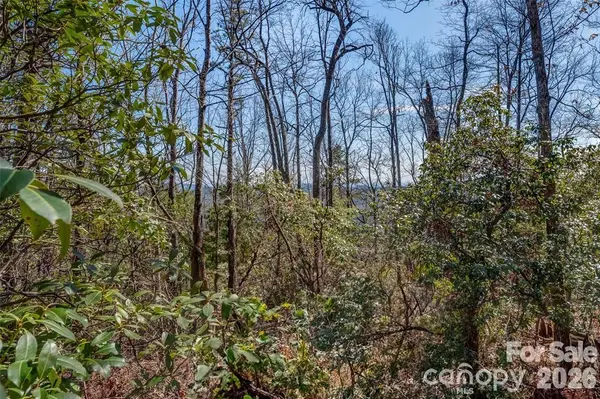TBD Loganberry LN, Lake Toxaway, NC 28747
