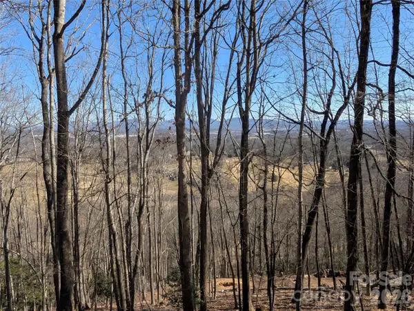 4 Wild Dogwood TRL, Mills River, NC 28759