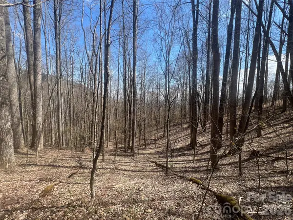200 Wolverine CT #44, Waynesville, NC 28785
