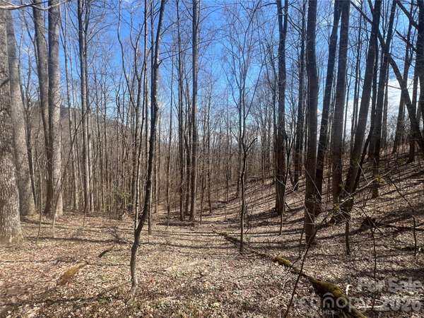 200 Wolverine CT #44, Waynesville, NC 28785
