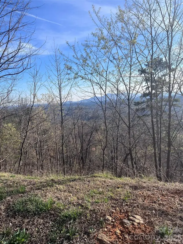 0 Golden Ridge DR #131, Lake Lure, NC 28746