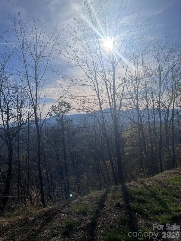 0 Bills Mountain TRL #401, Lake Lure, NC 28746