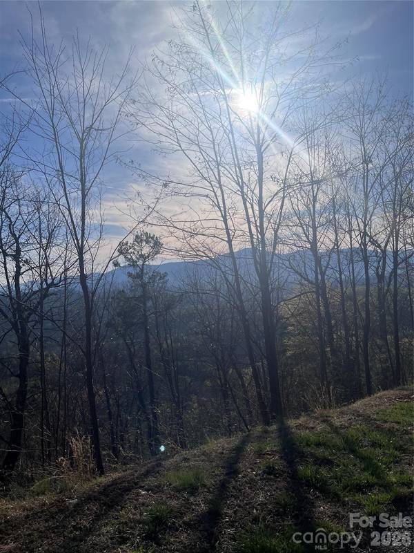 0 Bills Mountain TRL #401, Lake Lure, NC 28746