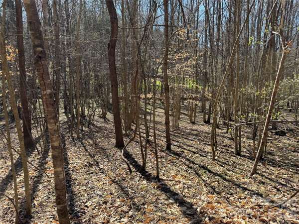 11550 King James BLVD, Davidson, NC 28036