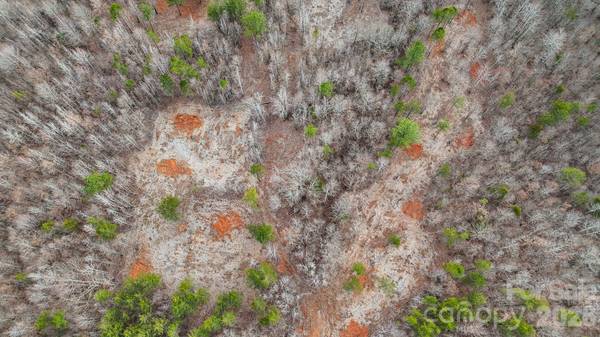 11550 King James BLVD, Davidson, NC 28036