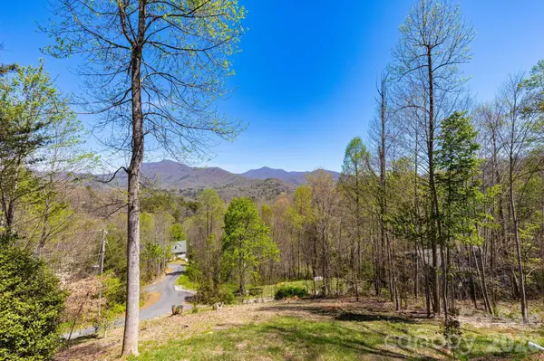 153 Fairlane LOOP, Whittier, NC 28789