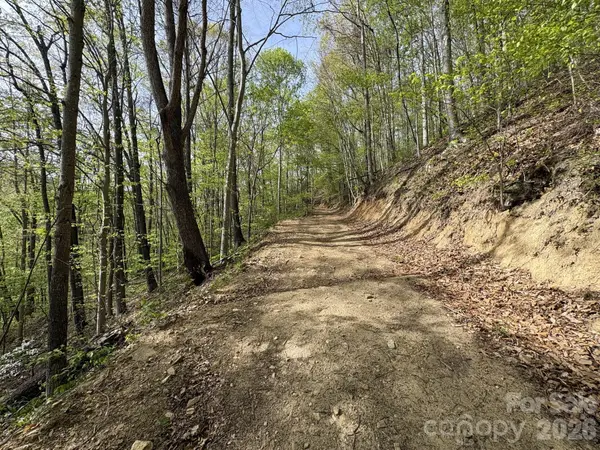 999999 Harwood RD, Barnardsville, NC 28709