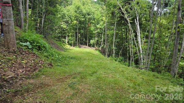 3355 Utah Mountain RD #3-F, Waynesville, NC 28785