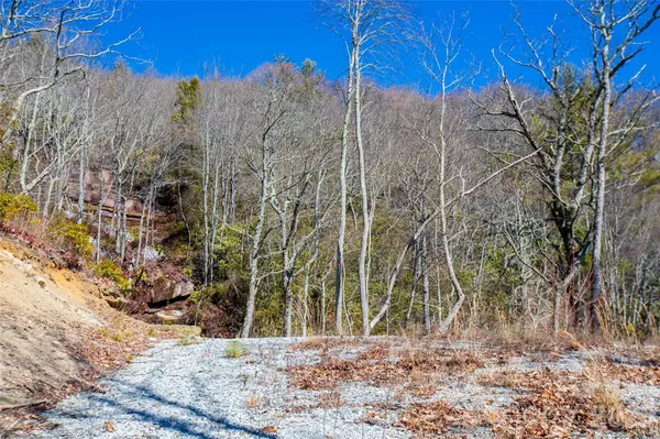 Lot 19 W Whitetail DR, Sapphire, NC 28774