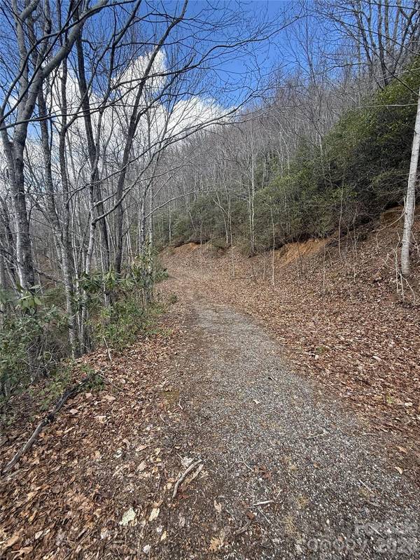 81 Boarding House WAY #92, Sylva, NC 28779