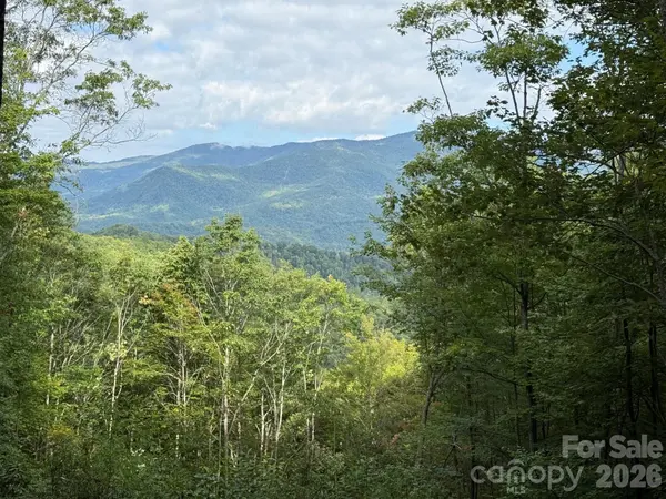 LT 262 Tote RD #262, Sylva, NC 28779