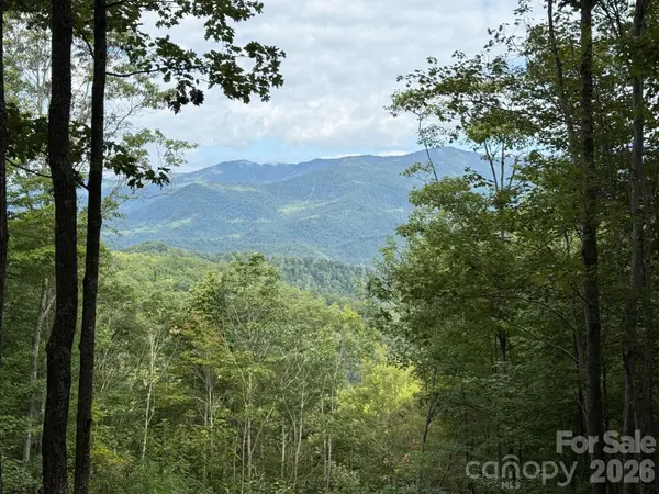 LT 262 Tote RD #262, Sylva, NC 28779