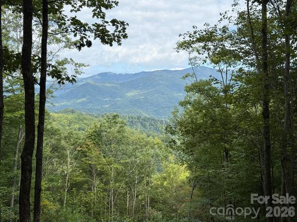 LT 262 Tote RD #262, Sylva, NC 28779