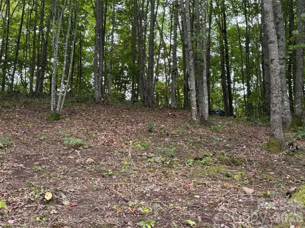 LT 262 Tote RD #262, Sylva, NC 28779