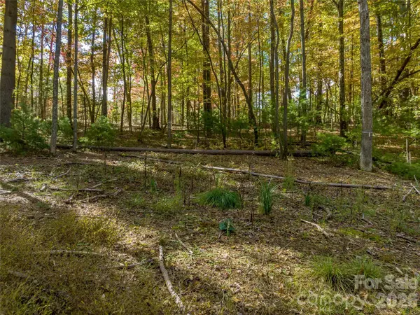 75 Emerald Necklace DR #411, Asheville, NC 28803