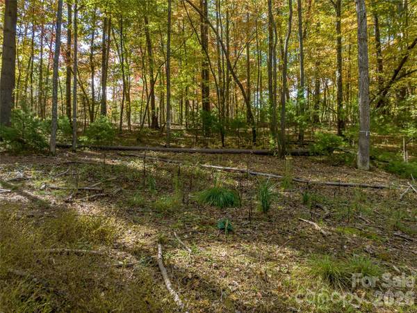75 Emerald Necklace DR #411, Asheville, NC 28803