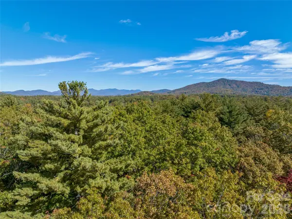75 Emerald Necklace DR #411, Asheville, NC 28803