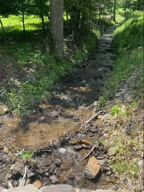 00 Scenic View DR #1 & 2, Green Mountain, NC 28740
