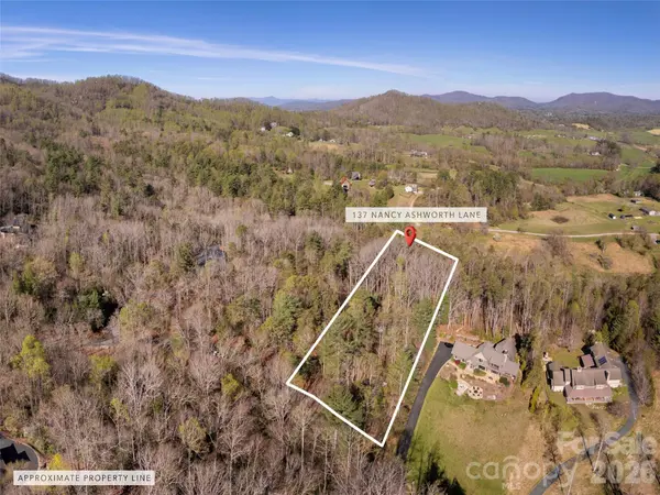 137 Nancy Ashworth LN #13, Fairview, NC 28730