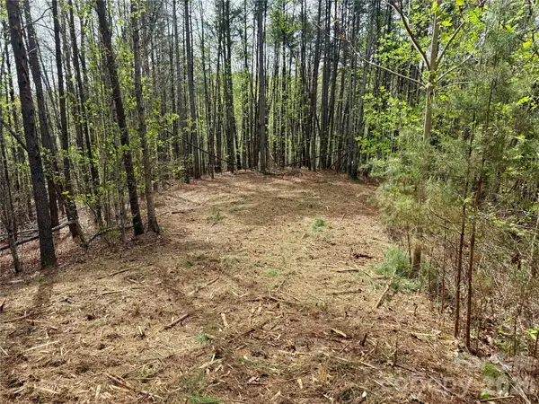 Lot 488 Bella Vista WAY #488, Nebo, NC 28761