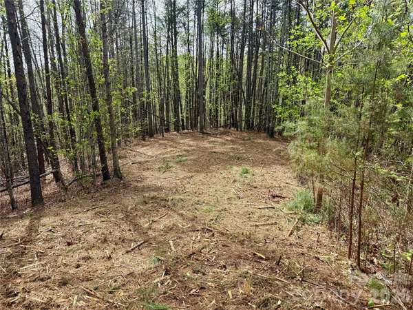 Lot 488 Bella Vista WAY #488, Nebo, NC 28761