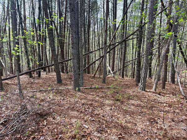 Lot 488 Bella Vista WAY #488, Nebo, NC 28761