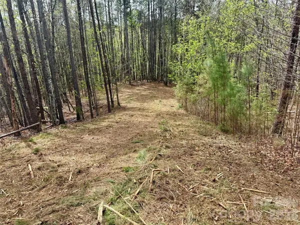 Lot 488 Bella Vista WAY #488, Nebo, NC 28761