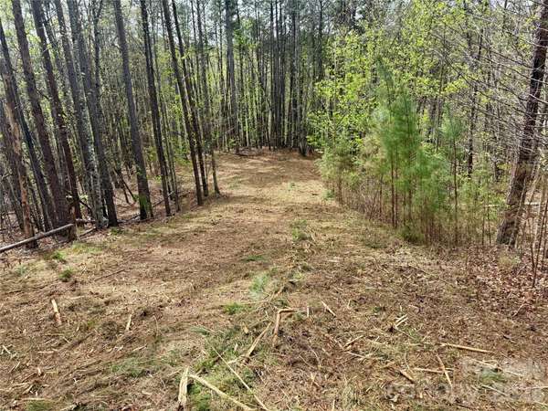 Lot 488 Bella Vista WAY #488, Nebo, NC 28761
