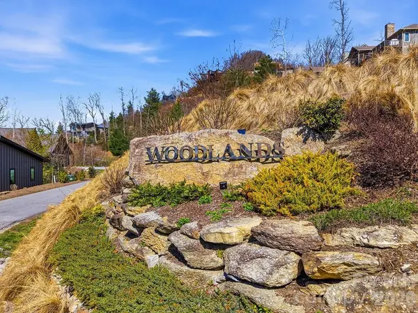 325 Curtain BLF #W9, Hendersonville, NC 28791
