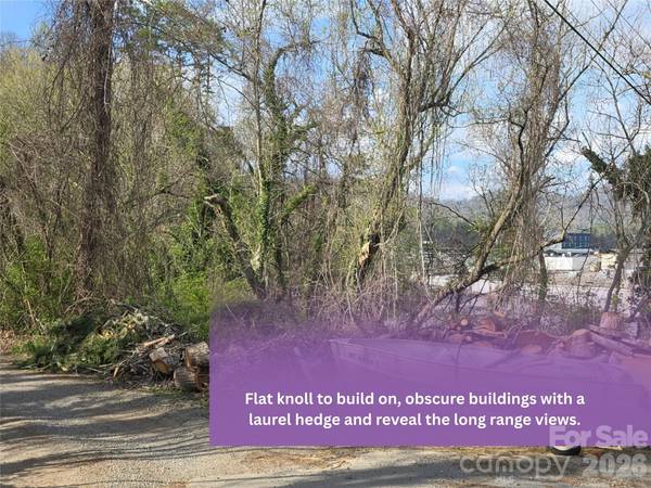 999999 Beaucatcher RD, Asheville, NC 28805