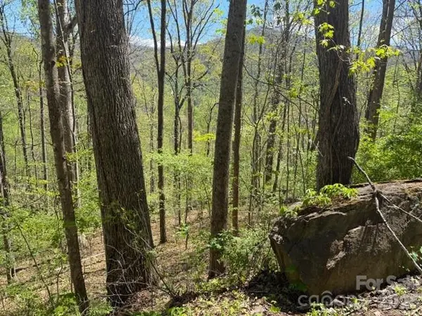 0000 Greenview DR, Maggie Valley, NC 28751