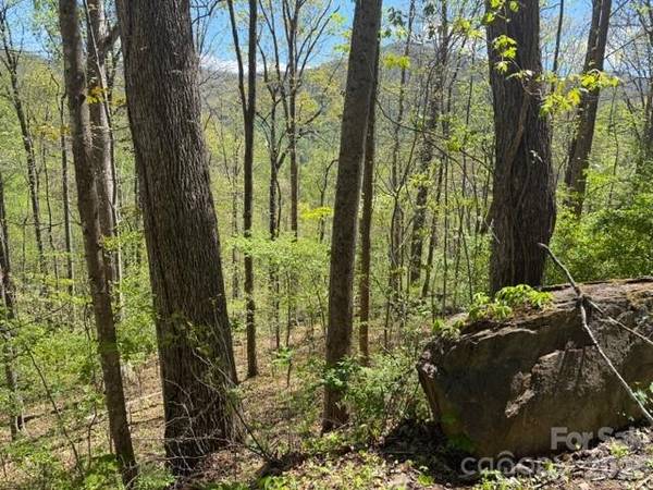 0000 Greenview DR, Maggie Valley, NC 28751