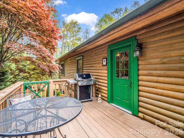 233 Shumont Estates RD, Lake Lure, NC 28746