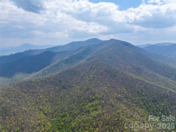 1299 Tiger Tail LN, Canton, NC 28716