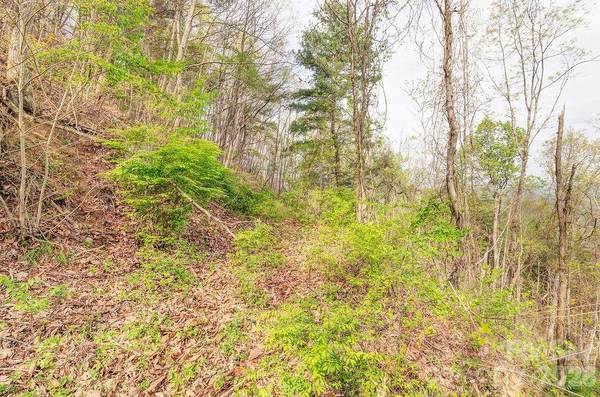 99999 Leisure Mountain RD #22, Asheville, NC 28804