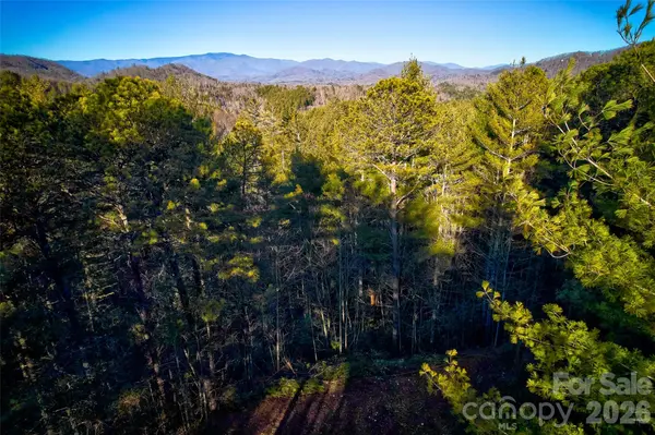 00 Piney Cove RD, Bryson City, NC 28713
