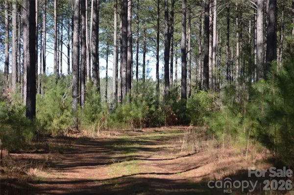 00 Peter Hawk Creek RD #12, Jonesville, SC 29353