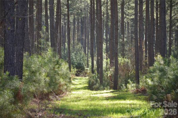 00 Peter Hawk Creek RD #13, Jonesville, SC 29353