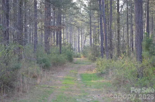 00 Peter Hawk Creek RD #13, Jonesville, SC 29353