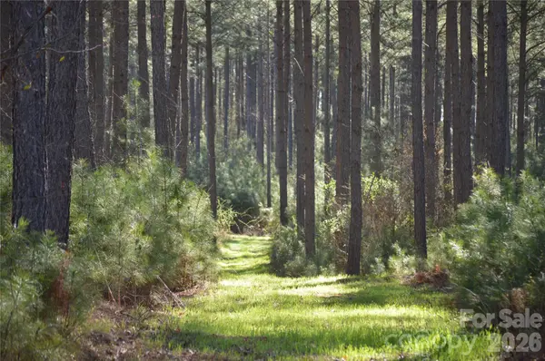 00 Peter Hawk Creek RD #14, Jonesville, SC 29353