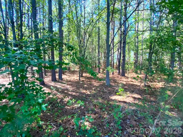 147-Lot A Baxter RD, Cherryville, NC 28021