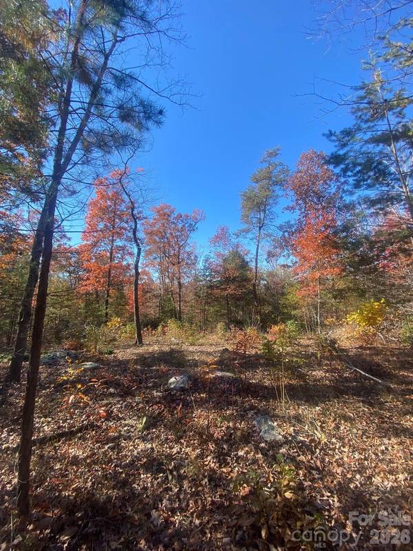 34 Montgomery DR, Marion, NC 28752