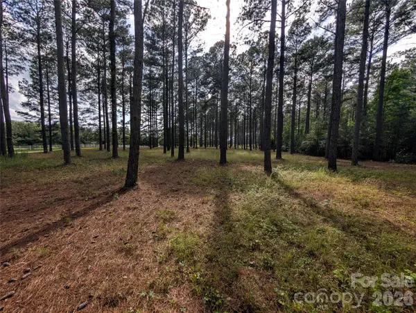 0000 Blessed Hope RD #Tract 2, York, SC 29745