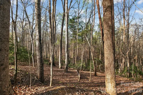 Lot 62 Dirksen AVE, Nebo, NC 28655