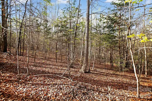 Lot 62 Dirksen AVE, Nebo, NC 28655